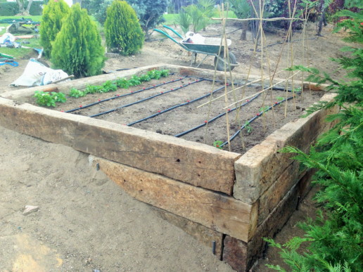 Naturverde.es Madrid Huertos Ecológicos